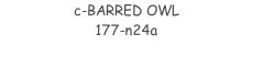 c-BARRED OWL 177-n24a